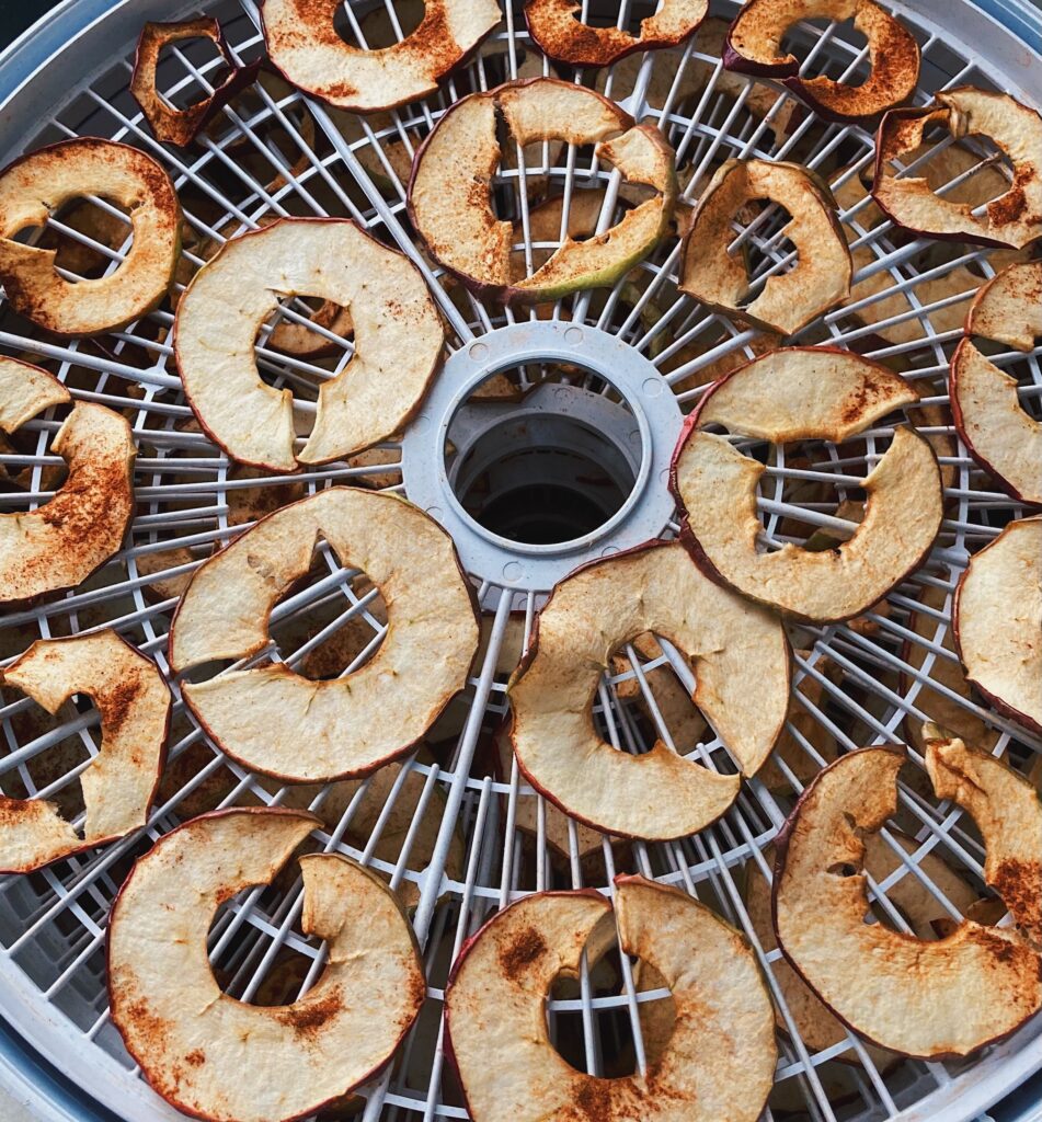 dehydrated apple chips at home on a dehydrator tray