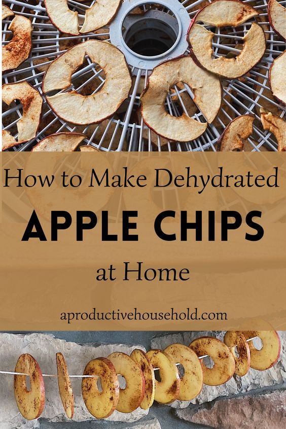 how to make dehydrated apple chips pinterest
