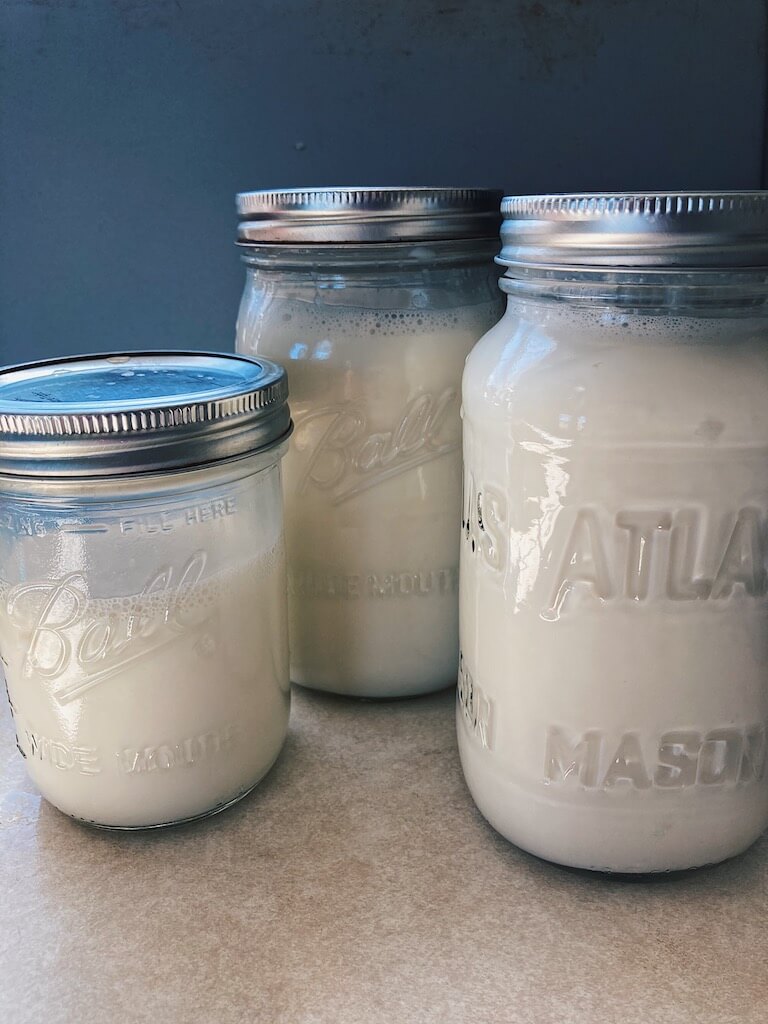 homemade-yogurt-in-jars-on-counter
