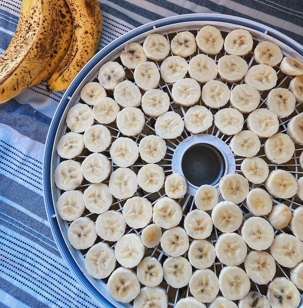 sliced bananas on dehydrator tray with whole bananas