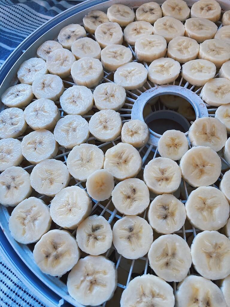 sliced bananas on dehydrator tray