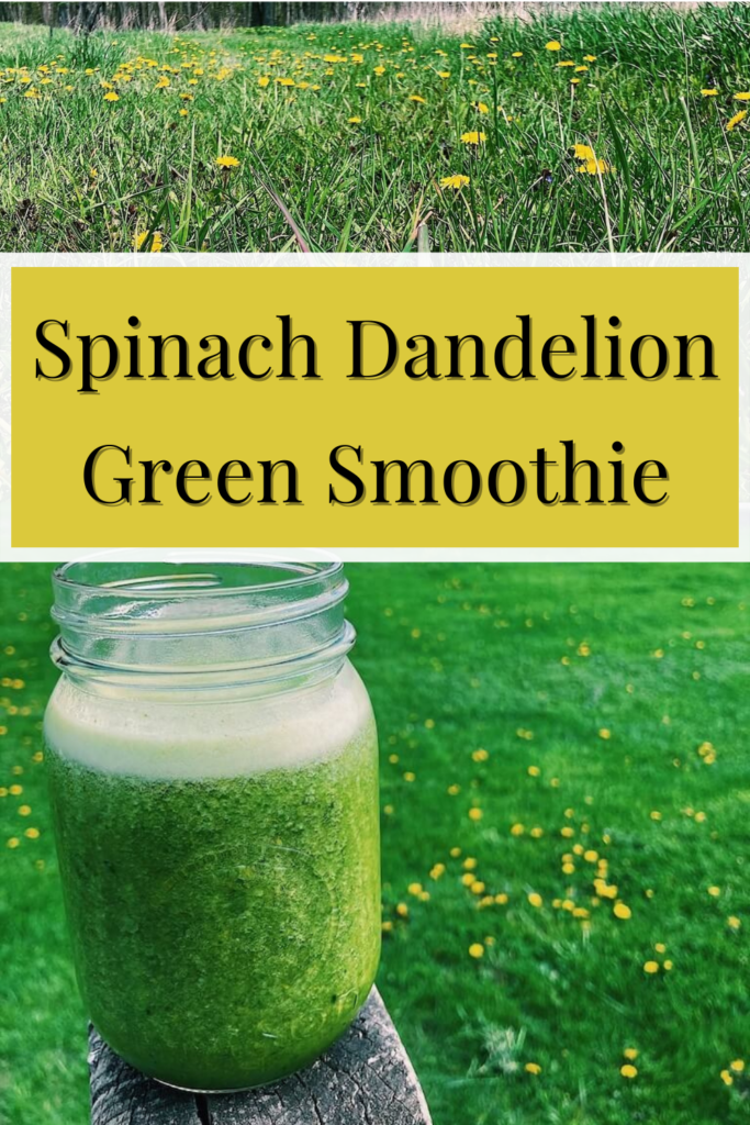 spinach dandelion green smoothie pinterest