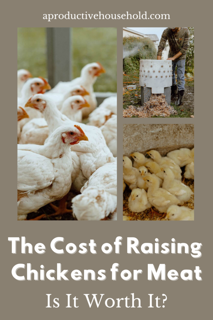The-Cost-of-Raising-Chickens-for-Meat-pinterest-pin