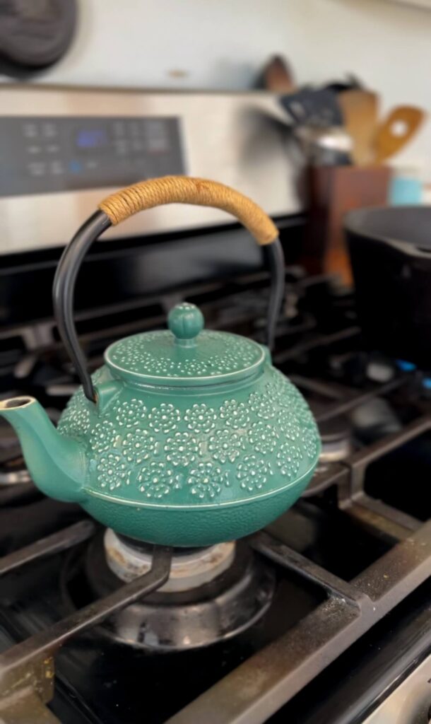 beautiful teal cast iron loose leaf tea pot on stove