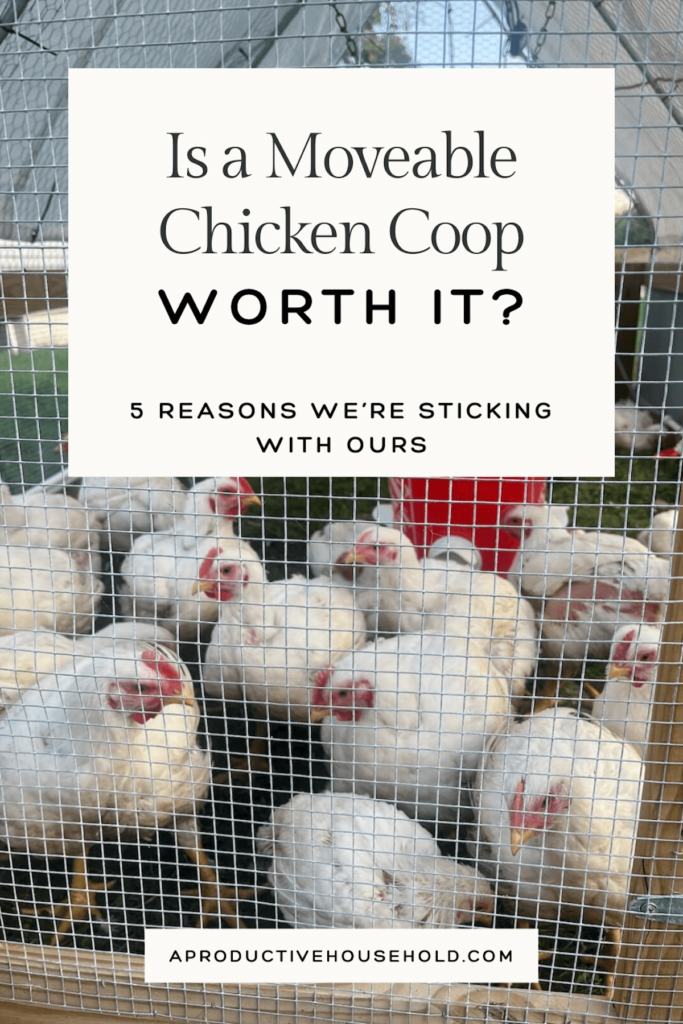 pinterest pin about move able chicken coops with image of chickens in a coop