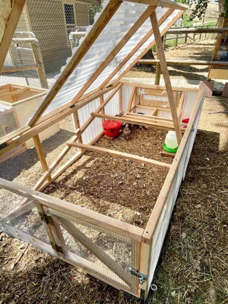 opened Justin Rhodes-style chicken coop with no chickens inside yet