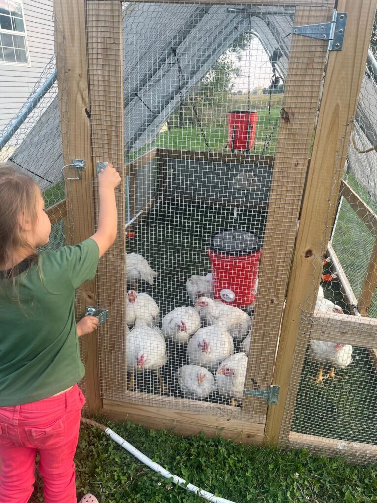 girl opening the door of a chicken coop