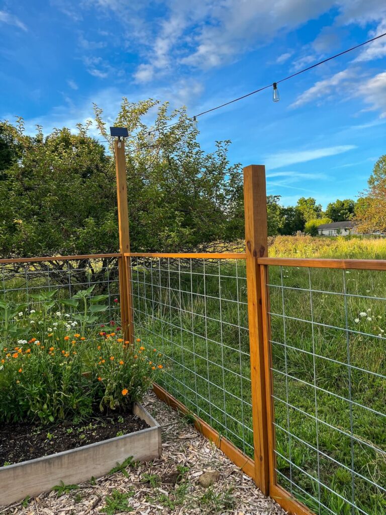 solar panel on top of garden fence