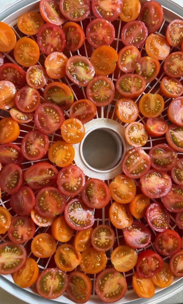 cherry tomatoes undried