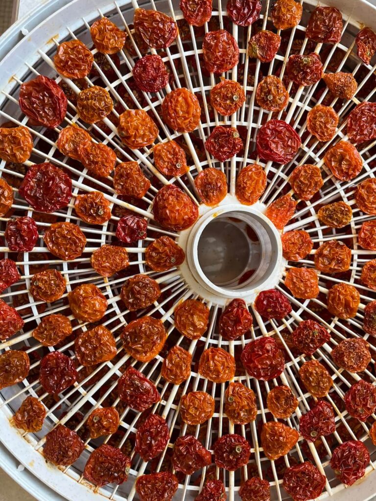 dried cherry tomatoes