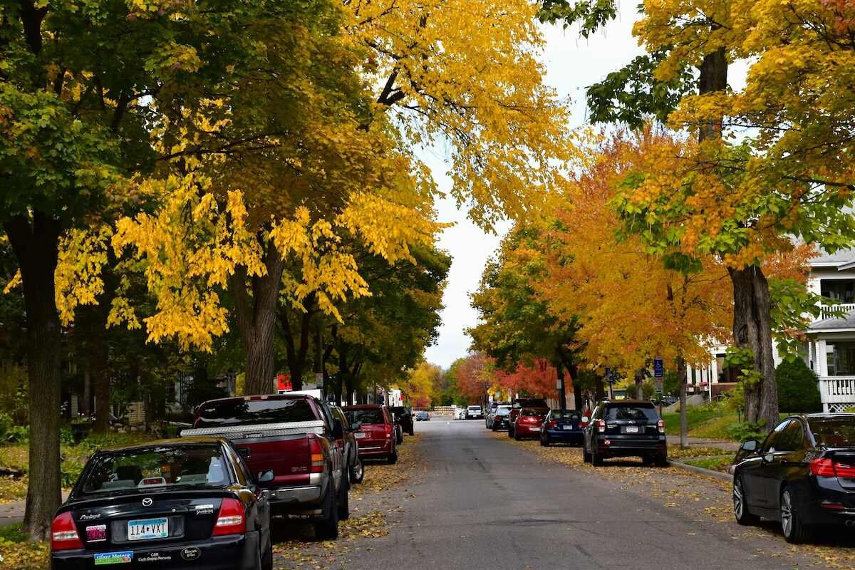 neighborhood car-lined street with autumn leaves