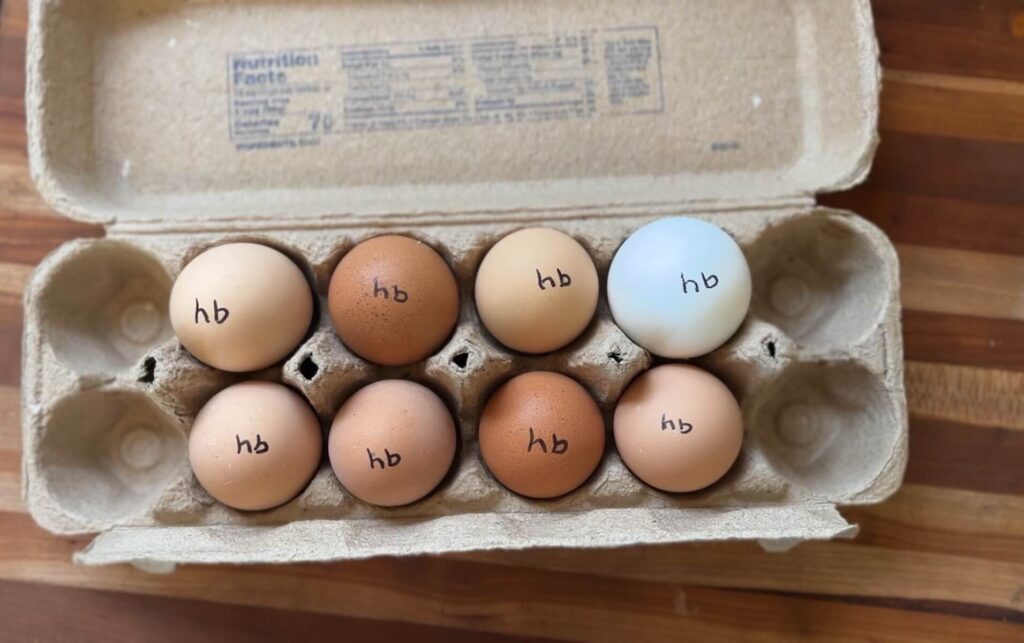 carton of hard boiled eggs ready to peel