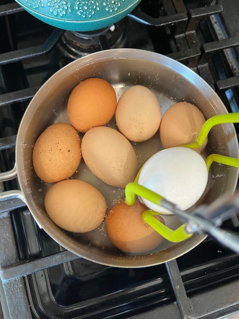 jar lifter lifting eggs